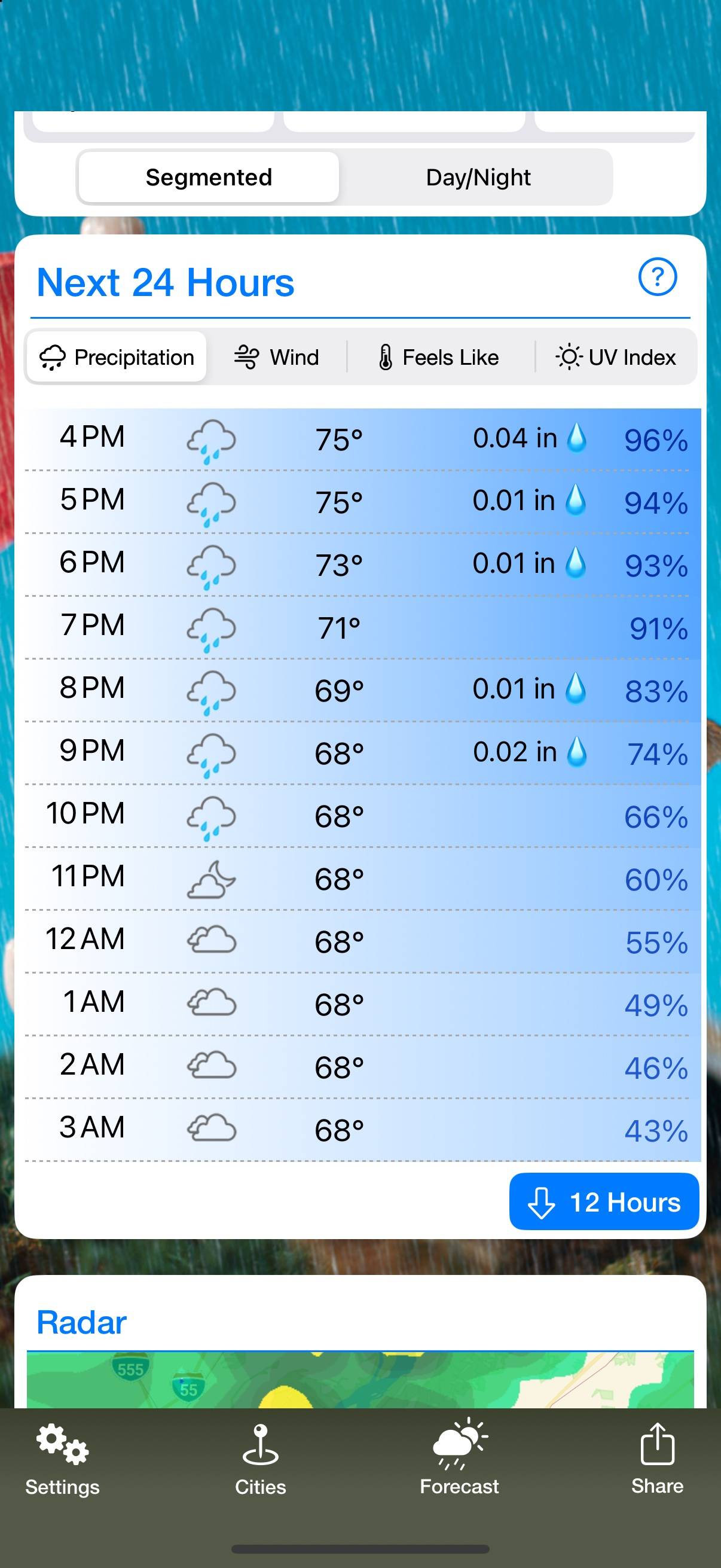 Weather Puppy: Hour by hour